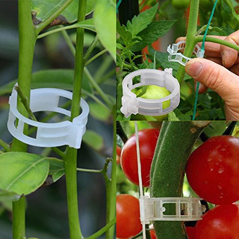 Plant Growing Support Clamps 50 PCS