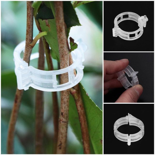 Plant Growing Support Clamps 50 PCS - Garden Wizard Shop