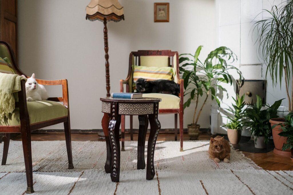 cats lying in a room filled with plants 